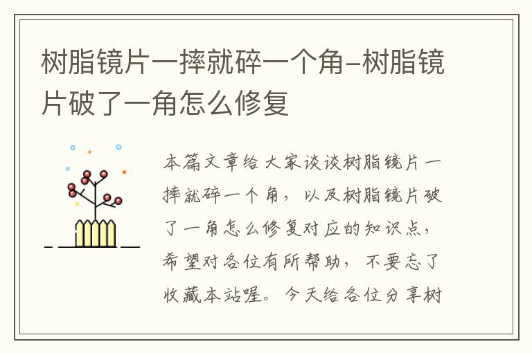 树脂镜片一摔就碎一个角-树脂镜片破了一角怎么修复