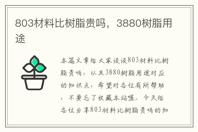 803材料比树脂贵吗，3880树脂用途