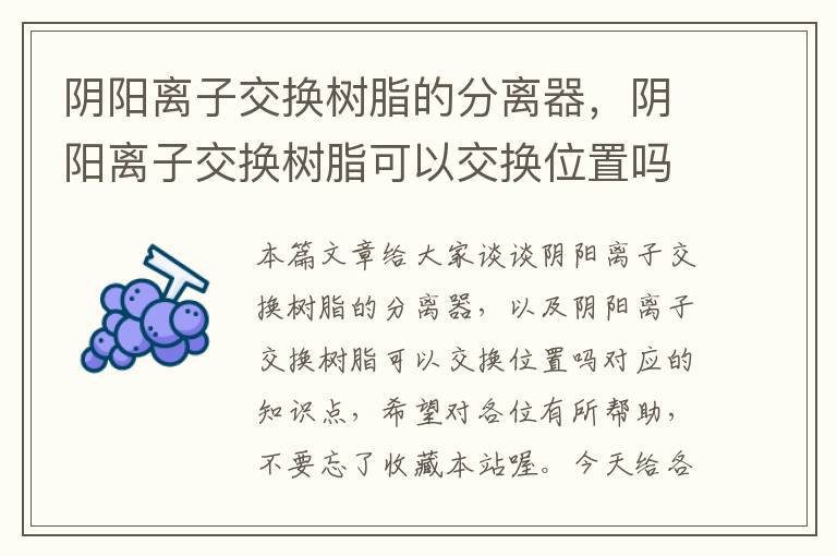 阴阳离子交换树脂的分离器，阴阳离子交换树脂可以交换位置吗