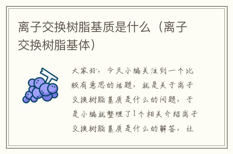 离子交换树脂基质是什么（离子交换树脂基体）