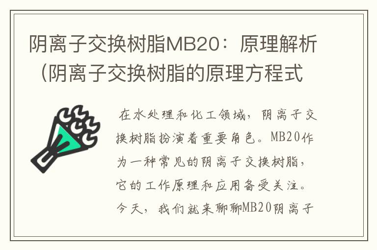 阴离子交换树脂MB20：原理解析（阴离子交换树脂的原理方程式）