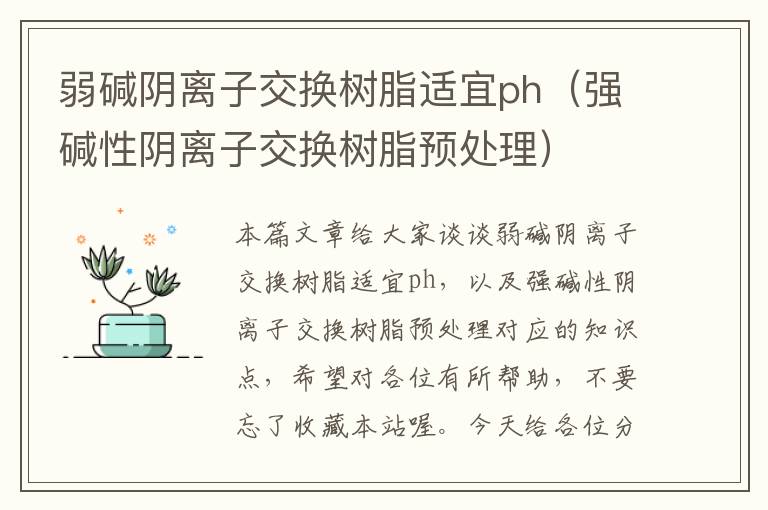 弱碱阴离子交换树脂适宜ph（强碱性阴离子交换树脂预处理）