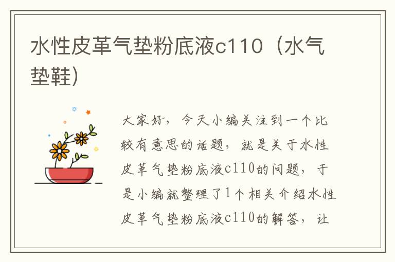 水性皮革气垫粉底液c110（水气垫鞋）