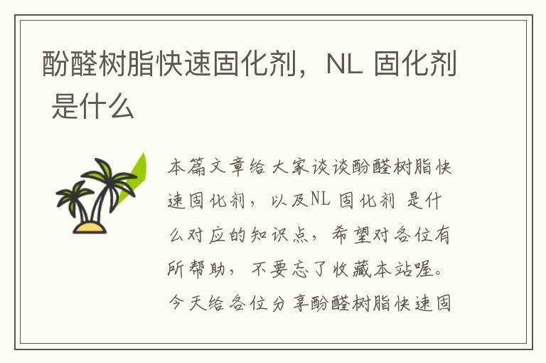 酚醛树脂快速固化剂，NL 固化剂 是什么