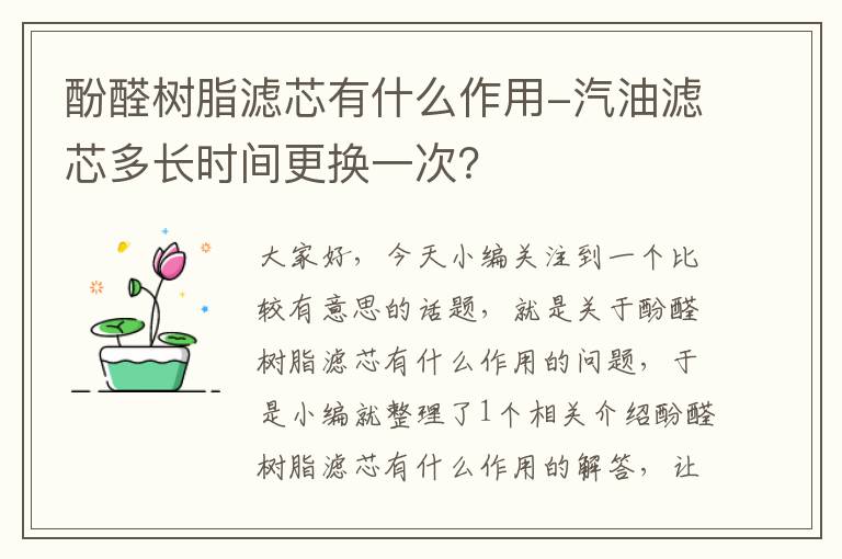 酚醛树脂滤芯有什么作用-汽油滤芯多长时间更换一次？