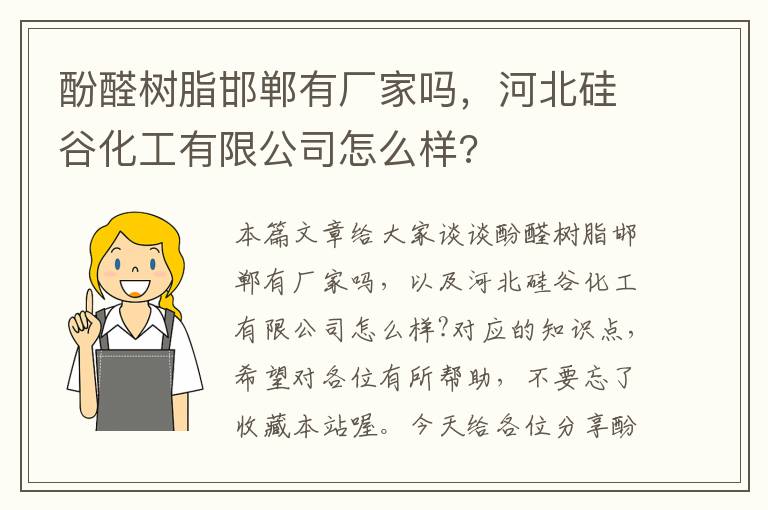 酚醛树脂邯郸有厂家吗，河北硅谷化工有限公司怎么样?