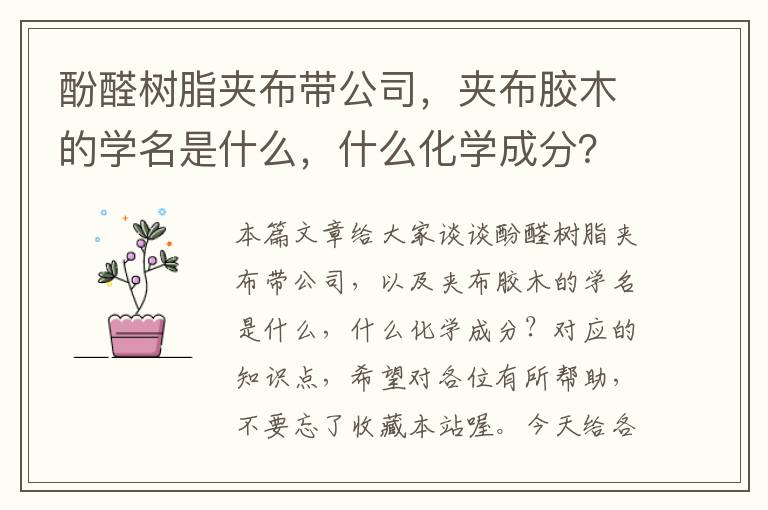 酚醛树脂夹布带公司，夹布胶木的学名是什么，什么化学成分？