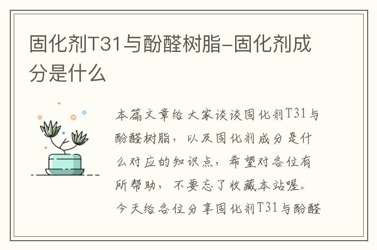 固化剂T31与酚醛树脂-固化剂成分是什么